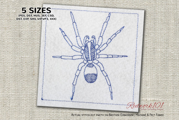 Evaluating the Ugly and Hairy Wolf Spider Redwork